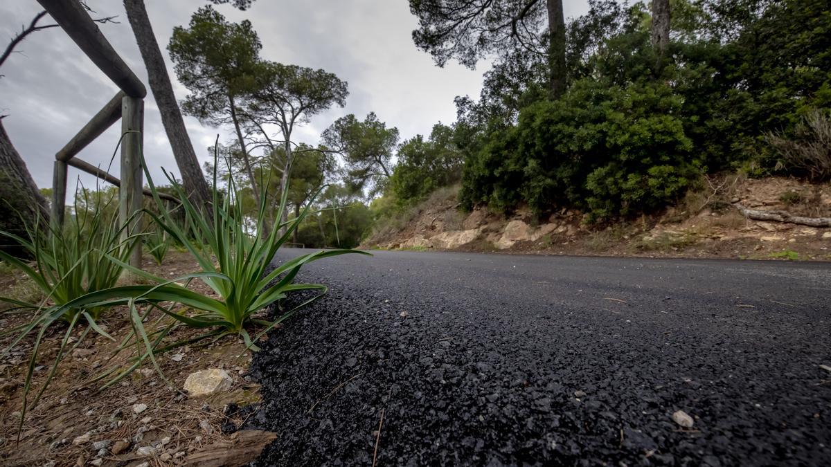 VÍDEO | Así es el polémico camino asfaltado en el bosque de Bellver