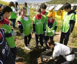 La Fundación Unicaja plantará más de 6.500 árboles gracias a su campaña ‘Un niñ@, un árbol’