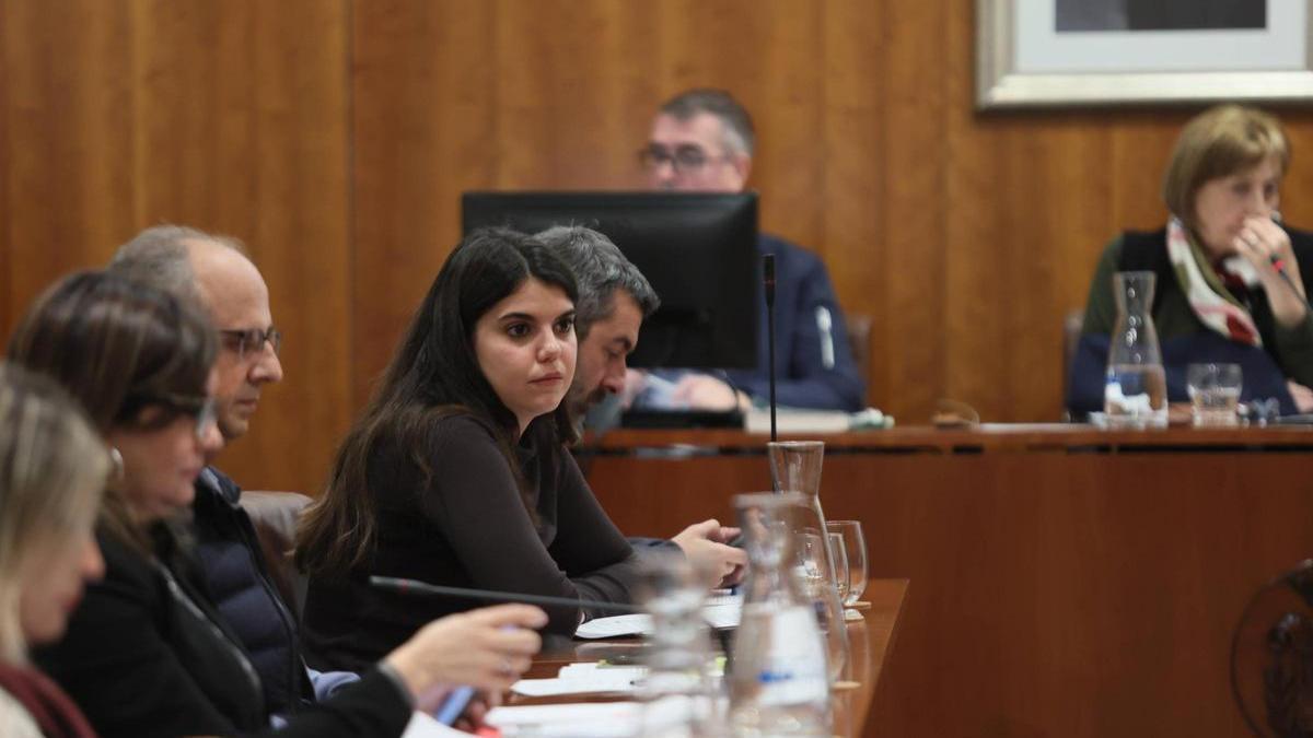 Raquel Ruiz, en el último Pleno, el mes pasado.