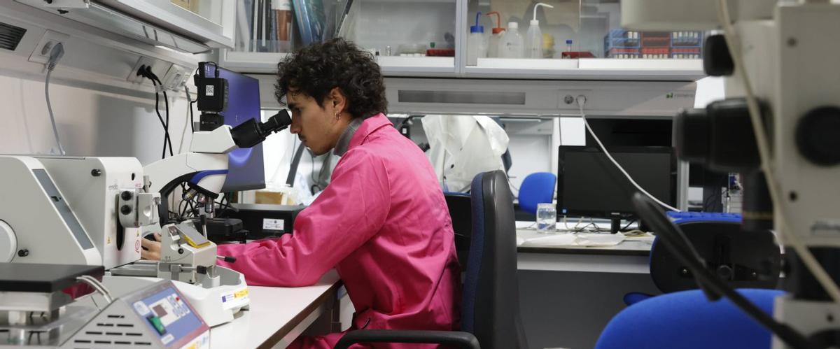 El estudiante investigador Javier Costas, trabajando con uno de los microscopios del Oceanográfico. | ÁNGEL GONZÁLEZ