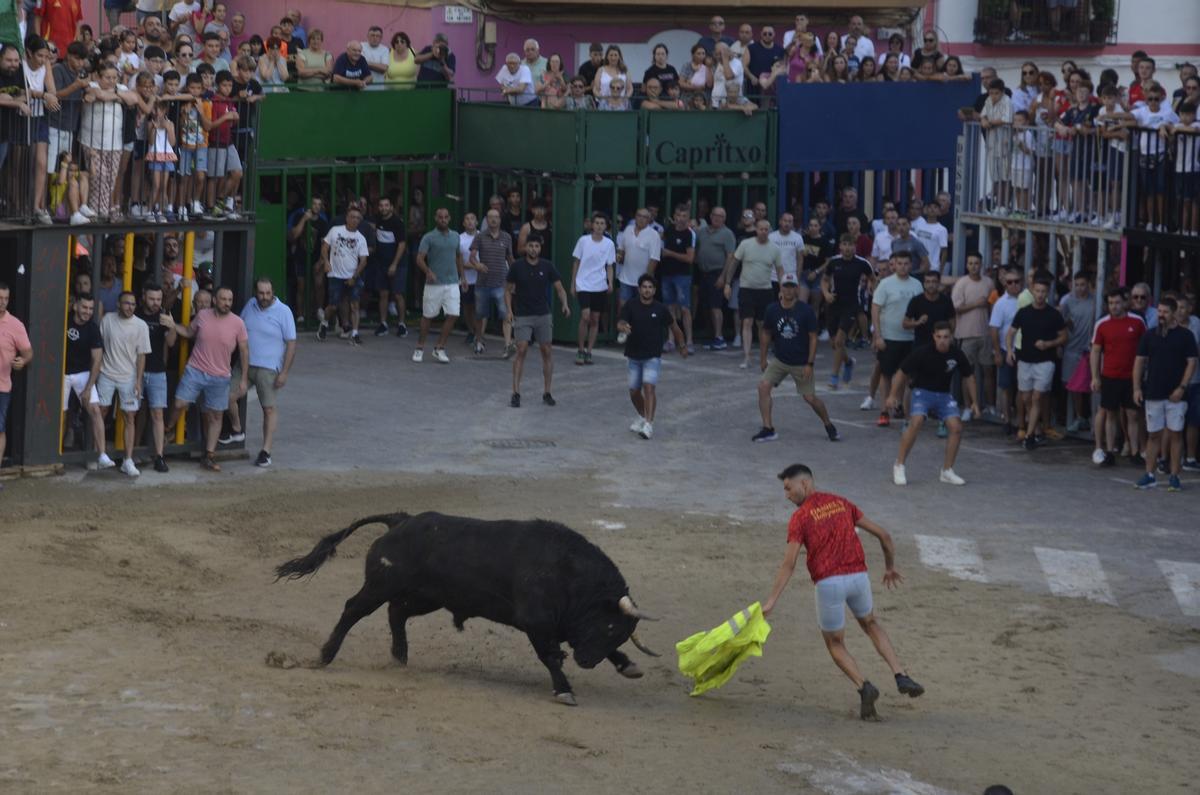 Los ‘bous al carrer’ forman parte de la variada programación que ofrece la localidad.