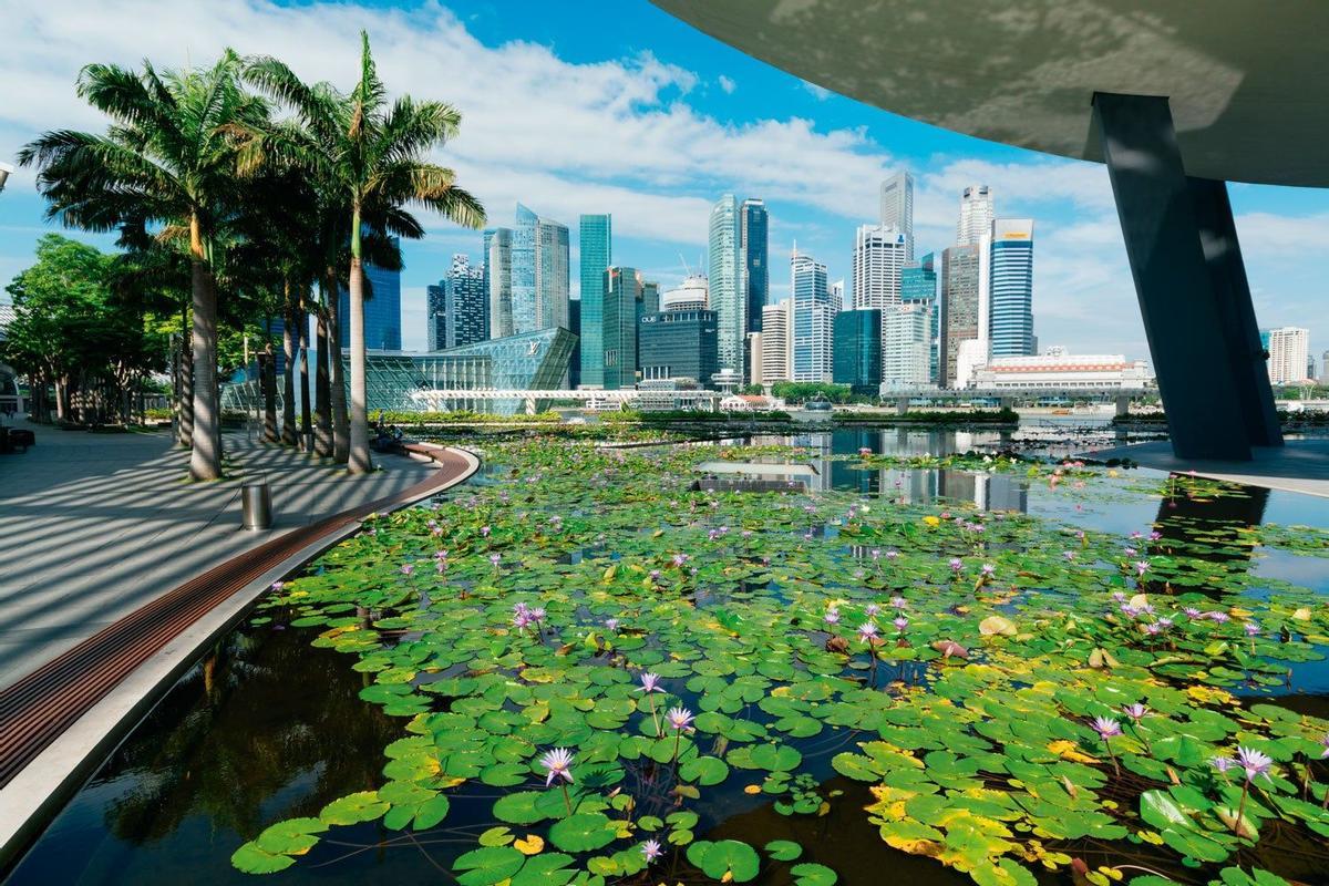 Jardín de Singapur