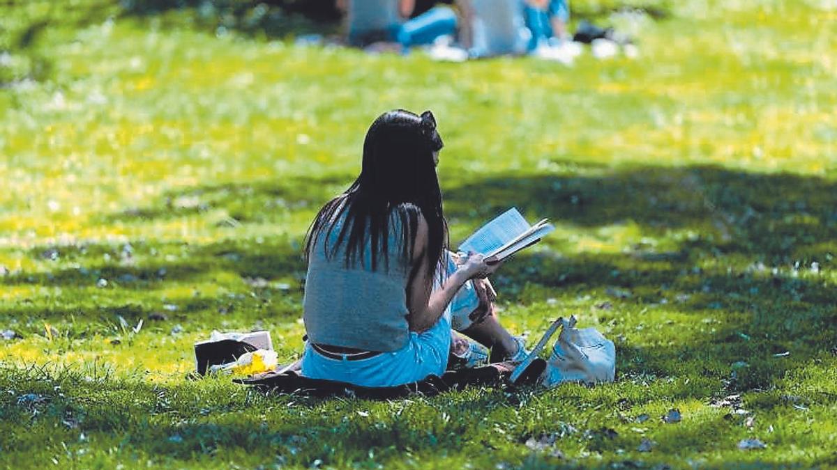 Una joven leyendo un libro en un parque