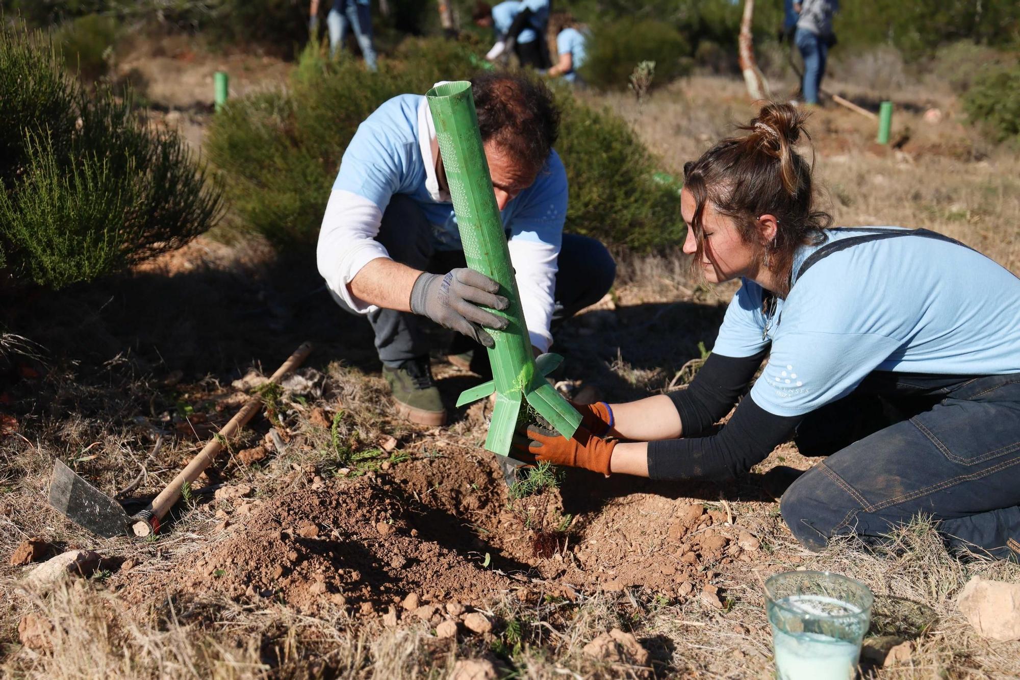 Presentación del proyecto 'Regenera natura'