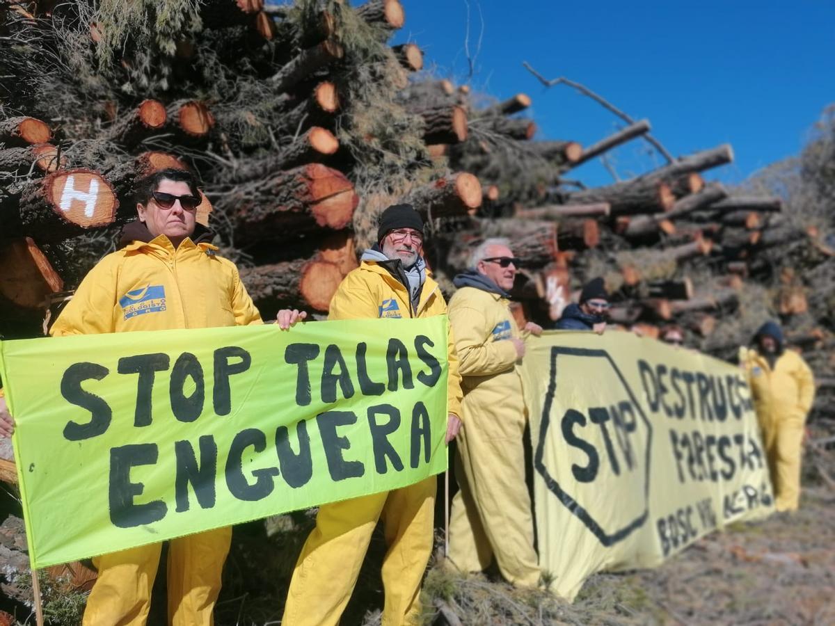 AE-Agró y vecinos ecologistas se manifiestan contra la tala de árboles en la sierra de Enguera.