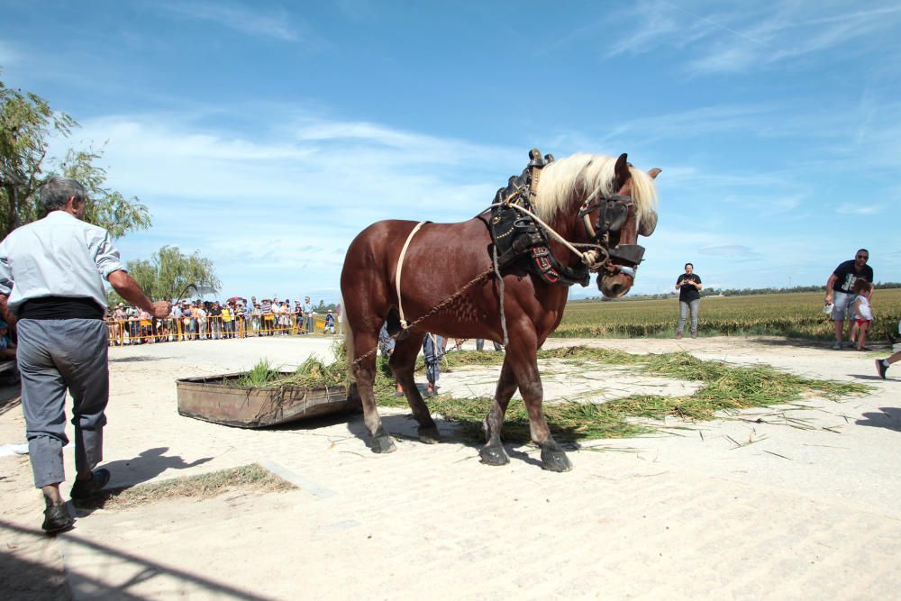 Fiesta de la Siega del Arroz