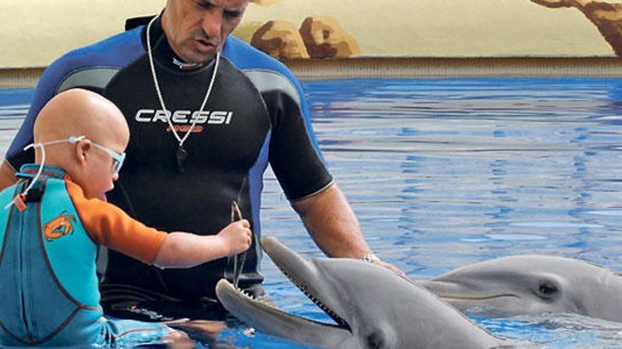 José Luis Barbero, actual director técnico de Marineland, en una sesión de delfinoterapia.