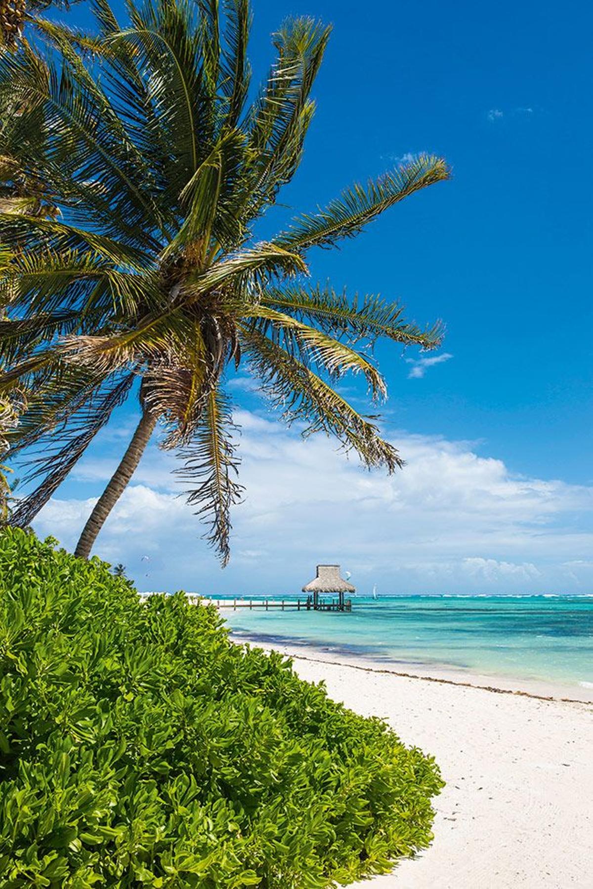 Playa Blanca en Punta Cana