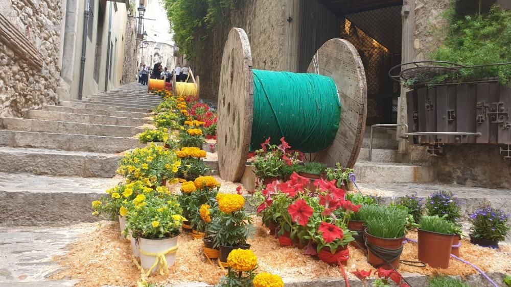 Girona, Temps de Flors 2019