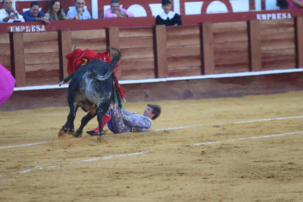 Toros | Novillada de la Feria Taurina de 2018