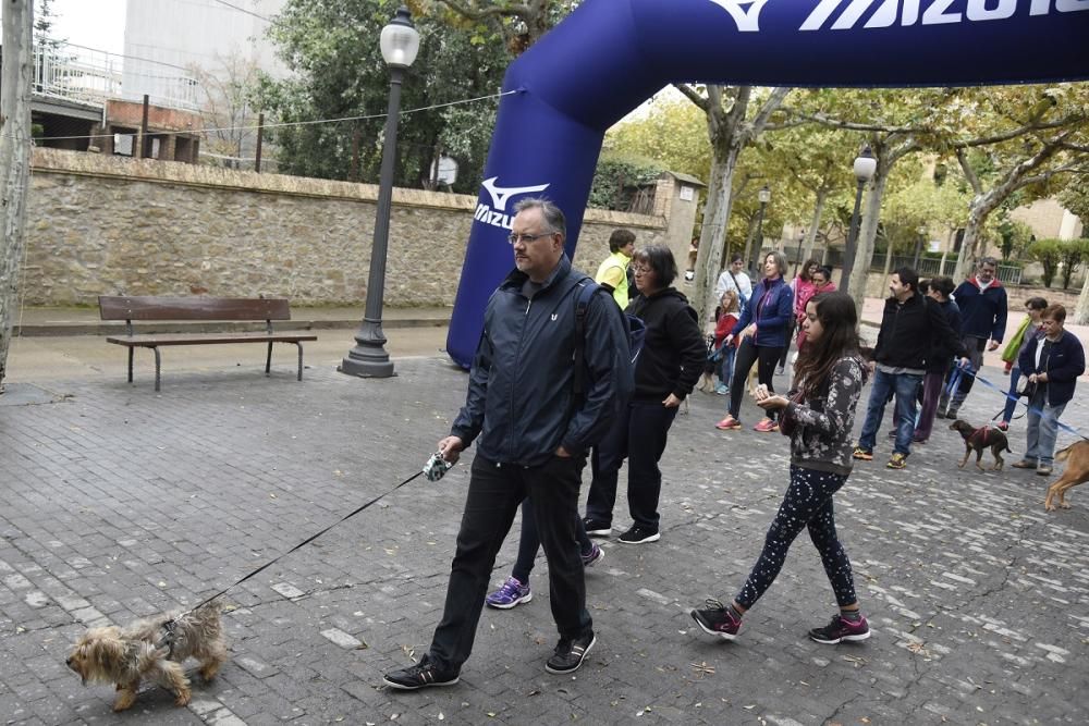 Caminada solidària de Regió7 a Solsona