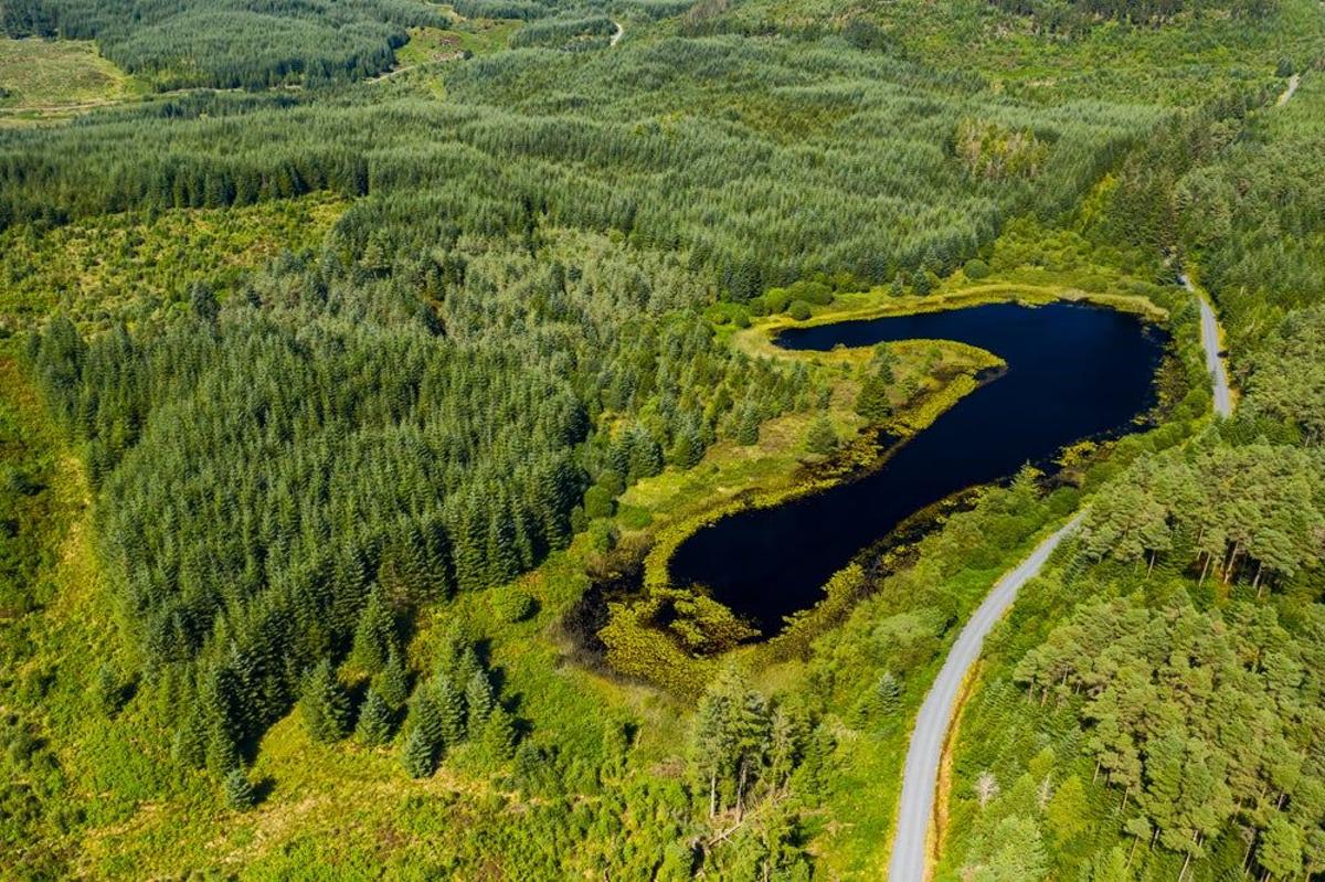 Primer sendero de la Unesco en Escocia. Galloway