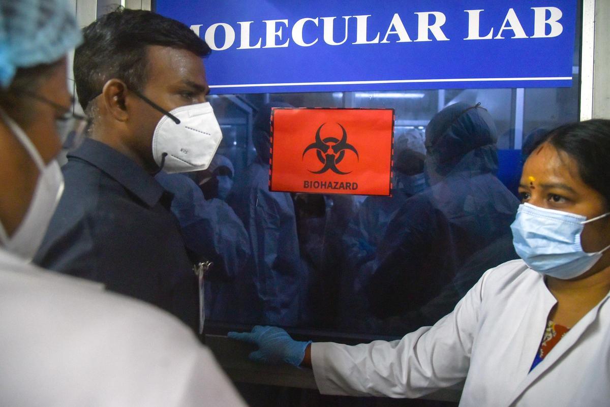 La OMS considera "bajo" el riesgo de expansión del letal virus Nipah tras la alerta en la India