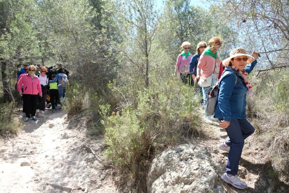 Sax celebra San Pancracio con un día de campo