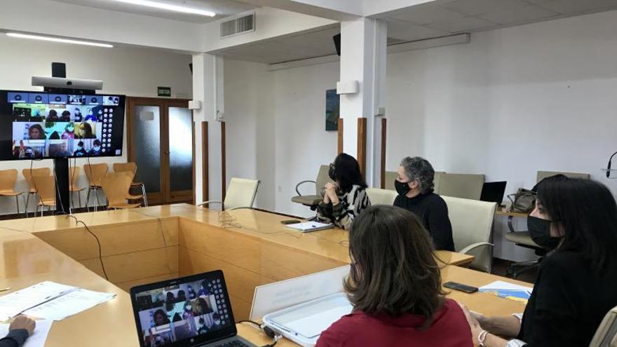 El pleno de Consell de Participación se celebró de forma telemática.