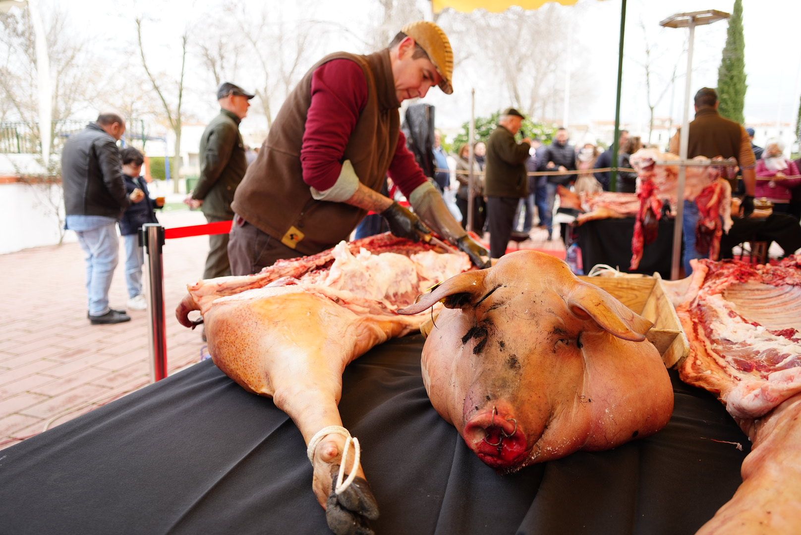 La Fiesta de la Matanza de Villanueva de Córdoba, en imágenes