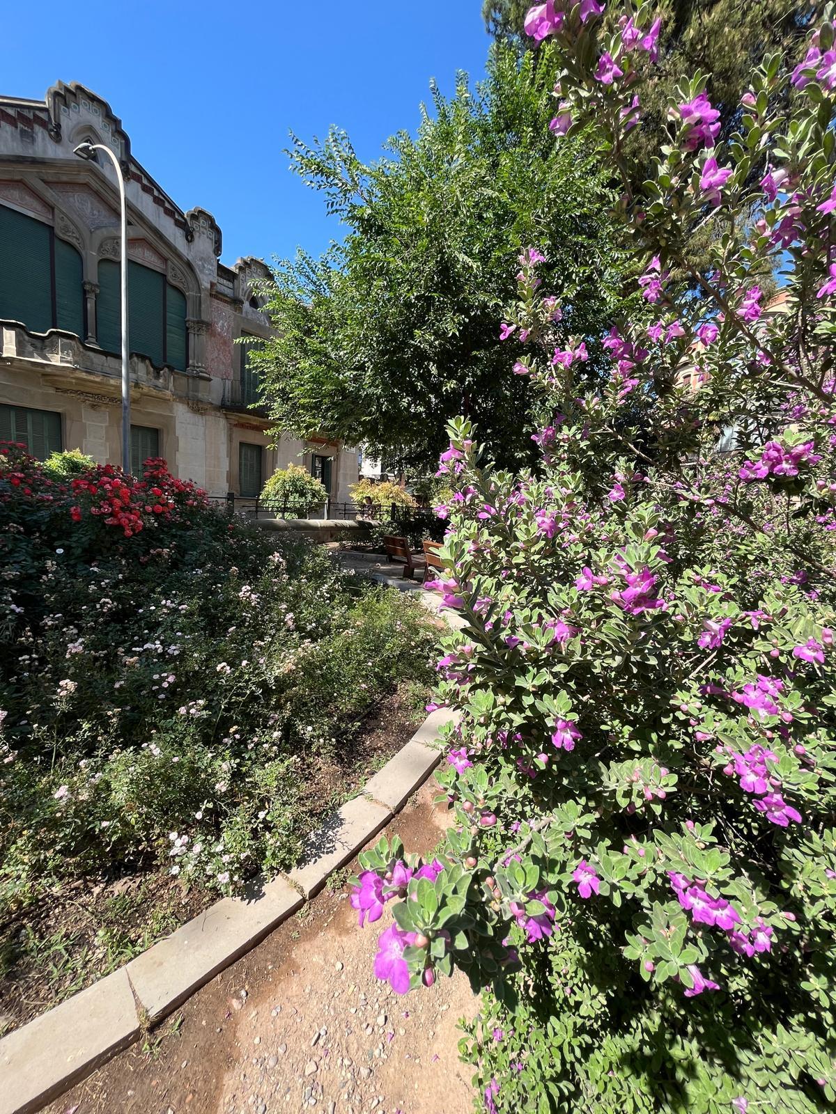 Una imatge del jardí del Casino