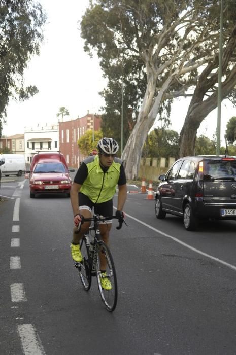 CAIDA DE UNA EUCALIPTO EN LA CARRETERA DE TAFIRA ...