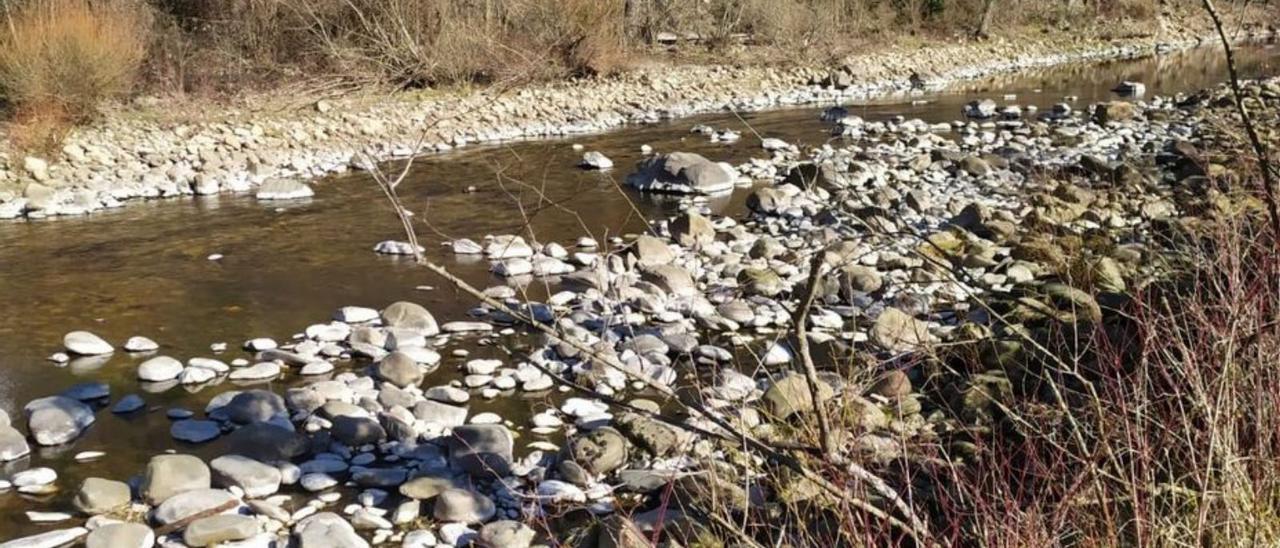 El río Nalón, hace unos días, a su paso por el puente de Chalana. | C.E.A.