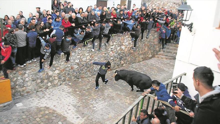 Veo abre el año de ‘bous al carrer’ en la Comunitat entre multitudes