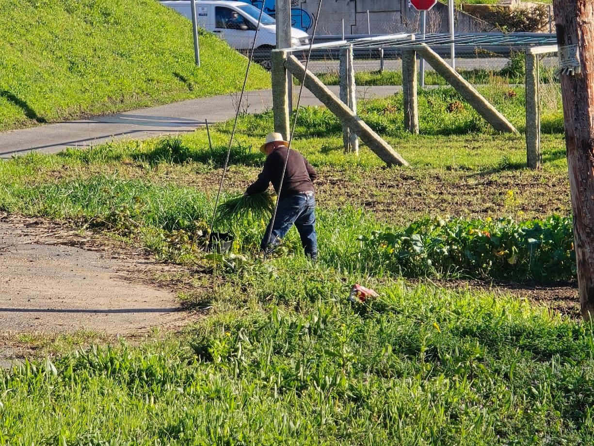 Arousanos aprovechando el buen tiempo para preparar sus tierras de cultivo.