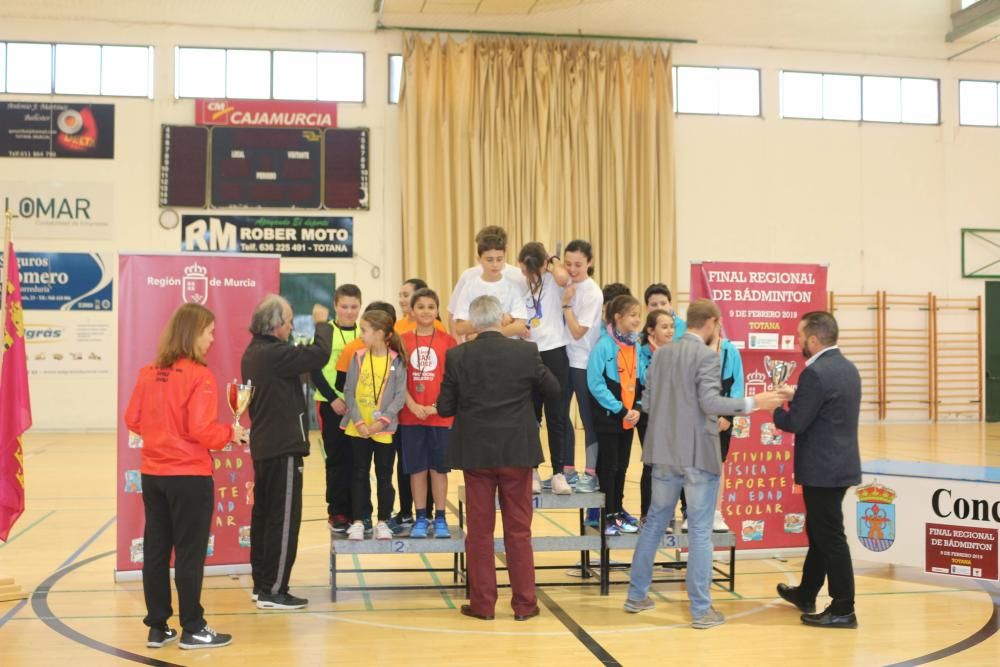 Final Regional de bádminton de Deporte Escolar