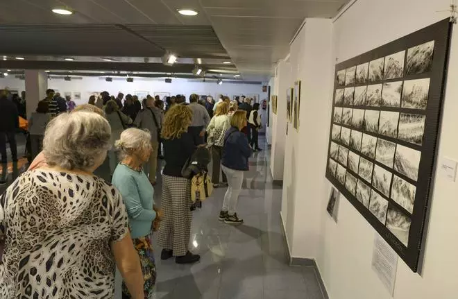 La acuarela se reinventa con la exposición "26 formas de agua" en el Club INFORMACIÓN