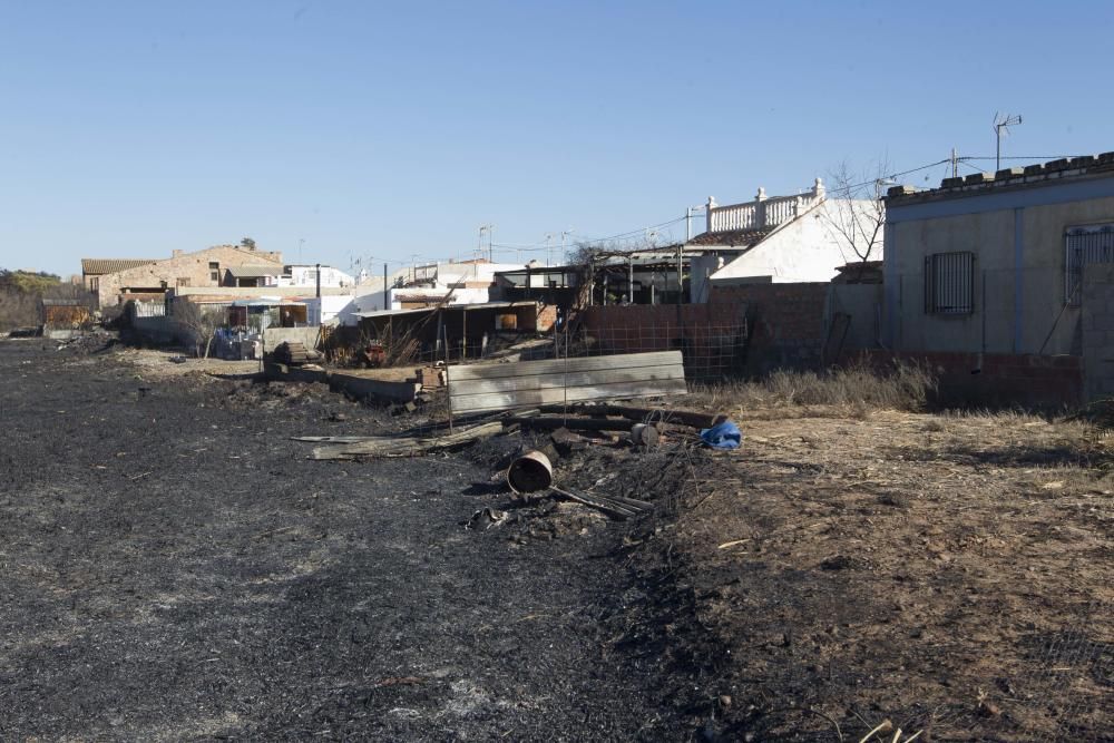 La Marjal dels Moros tras el incendio