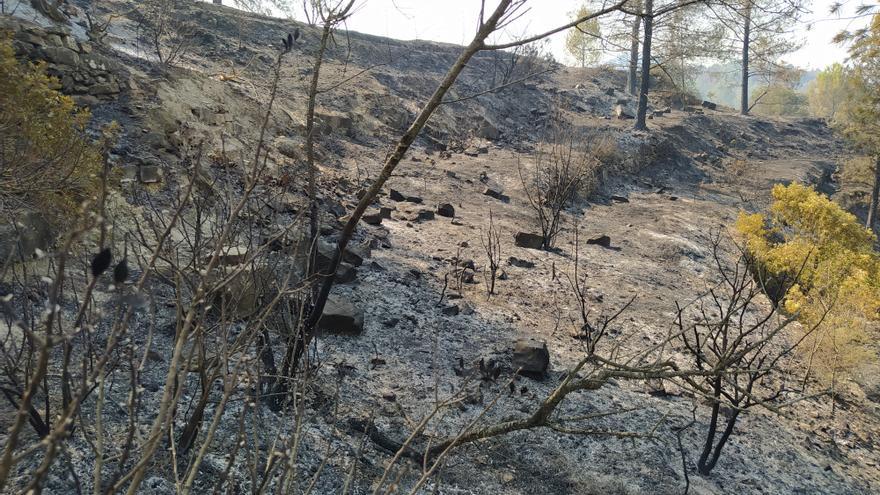 Imatges del Pont de Vilomara després de l'incendi forestal que afecta des d'aquest diumenge la comarca