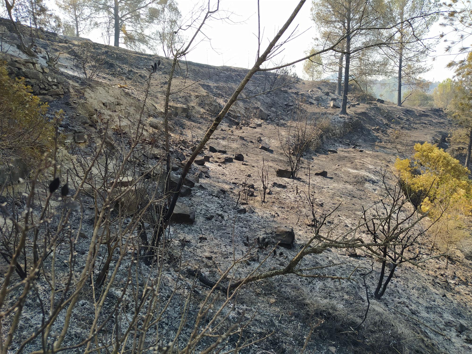 Així ha quedat la zona forestal del Pont de Vilomara afectada per l'incendi