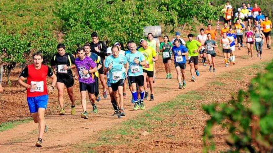 Bona part del recorregut de les curses i de la caminada va transcórrer per vinyes entre Artés i Avinyó