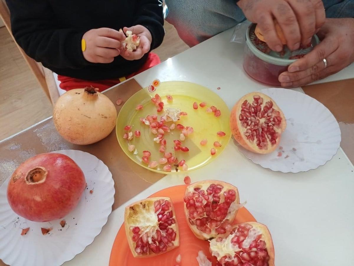 Els alumnes engrunen els dolços pinyolets de la magrana