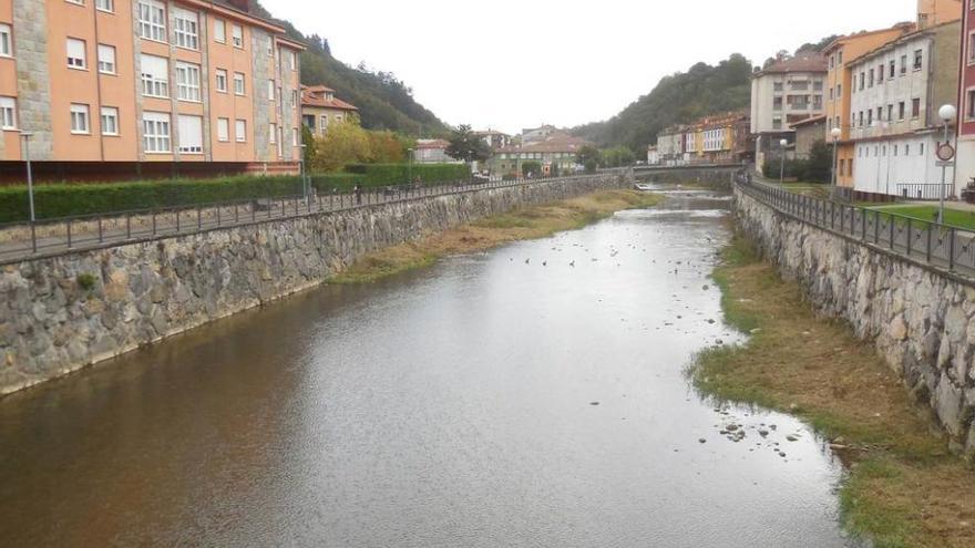 Cangas de Onís limpia de maleza las márgenes del río Güeña