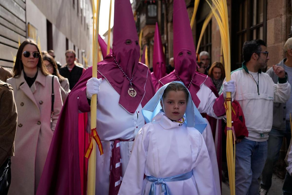 La Procesión de La Borriquita en Zamora, en imágenes La Procesión de La Borriquita en Zamora, en imágenes