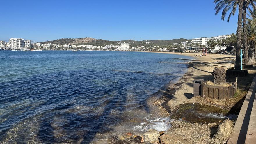 Las imágenes del vertido en la playa de s'Arenal denunciado por Salvem sa Badia