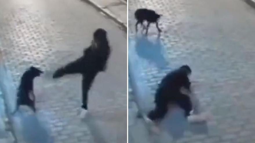 Un individuo intenta agredir a un perro y acaba en ridículo