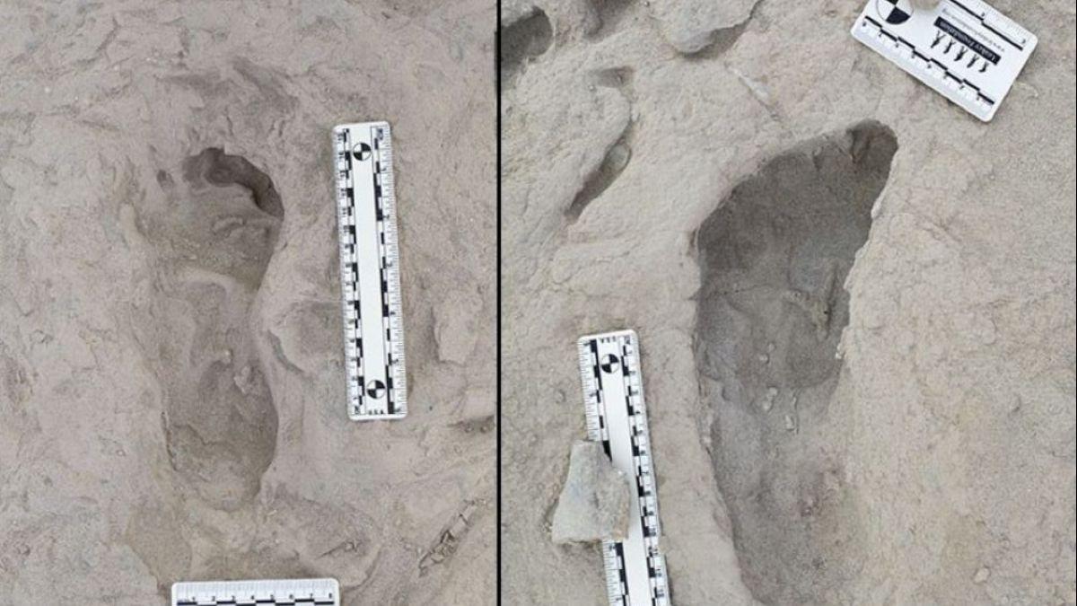 A la izquierda, una huella creada por un individuo Homo erectus. A la derecha, huella de Paranthropus boisei.