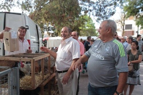 Markt Sineu