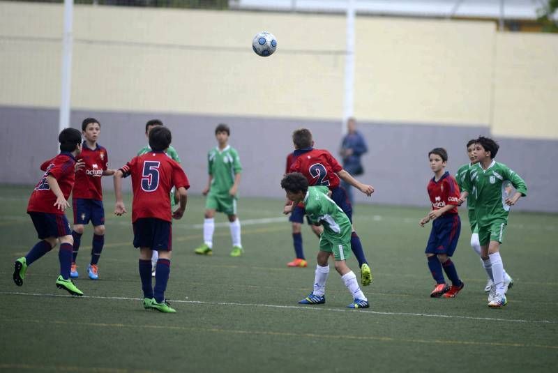 FÚTBOL: Casablanca - Osasuna (Final Alevín)