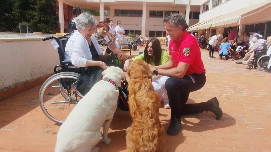 VÍDEO | Los residentes de la Bonanova disfrutan de la unidad canina de los Bombers de Palma: “Ay, qué perrito más bueno”