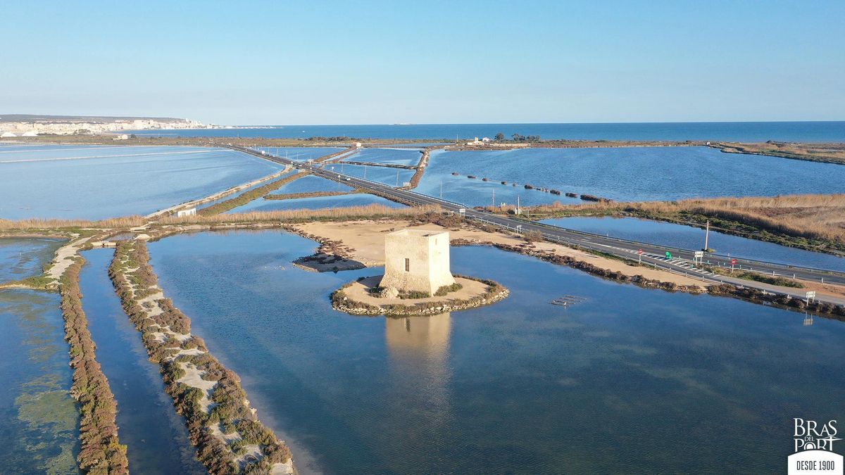 El Parque Natural de las Salinas de Santa Pola