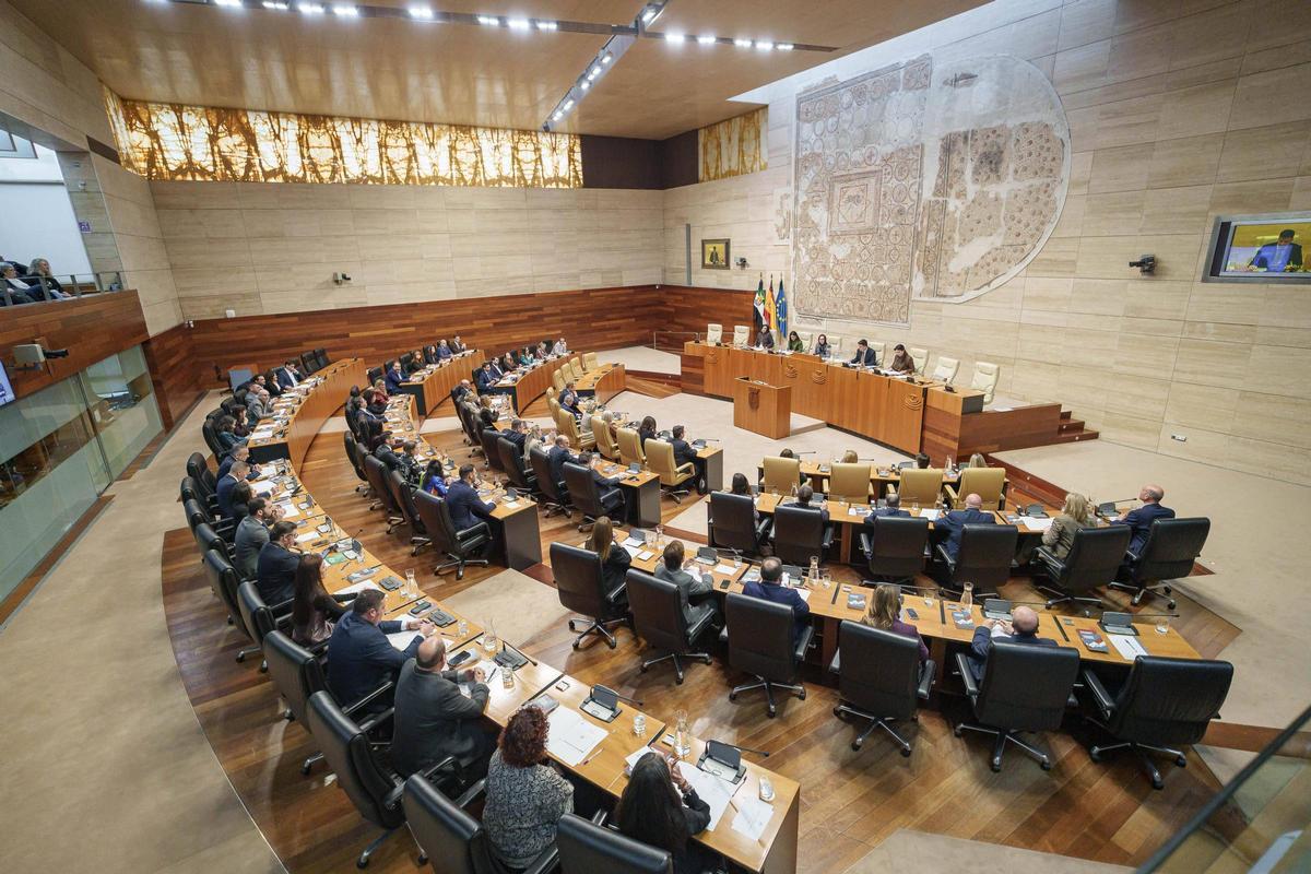 Vista del hemiciclo de la Asamblea durante la sesión constitutiva de la XII Legislatura, celebrada el 20 de enero de 2026.