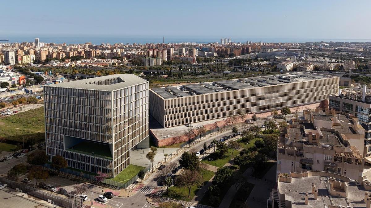 La mujer condenada en los tribunales de Málaga no tenía titulación para llevar a cabo limpiezas dentales en perros.