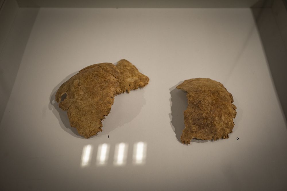 Una exposición recoge los últimos hallazgos arqueológicos de Canet d'En Berenguer