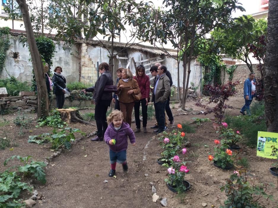 Mostra Floral a la Casa Nouvilas de Figueres