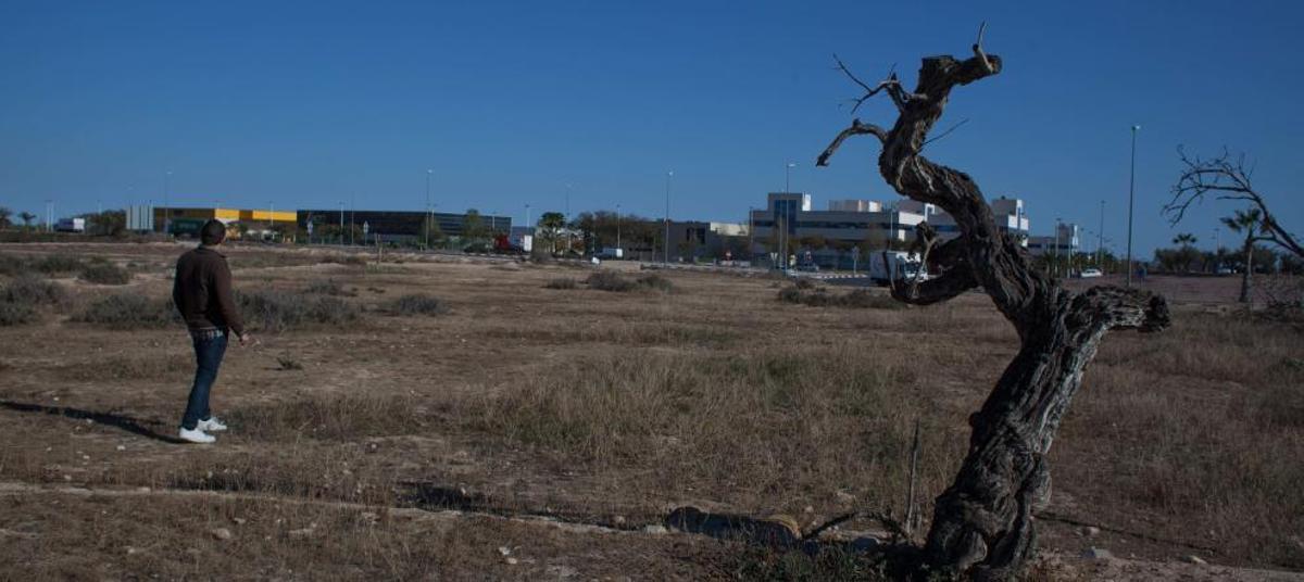 Elche ultima la compra de 90.000 metros en la zona de ampliación del parque industrial