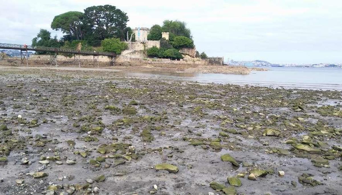 Descubren una turbera o bosque fósil en la playa de Santa Cruz