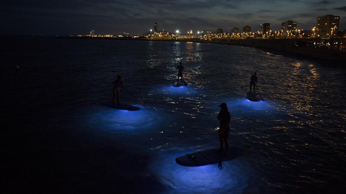 zentauroepp44966986 barcelona 08 09 2018 onbarcelona paddle surf nocturno con le180911203904