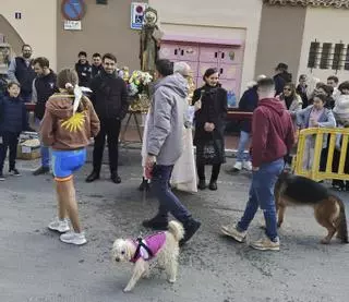 Las imágenes de la bendición de animales de Sant Antoni en Sagunt