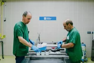 Los forenses, los médicos que investigan la muerte: «Los cadáveres cuentan mucho, pero no todo»